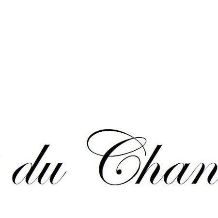 Logis Du Chandelier Le Puy-en-Velay ภายนอก รูปภาพ