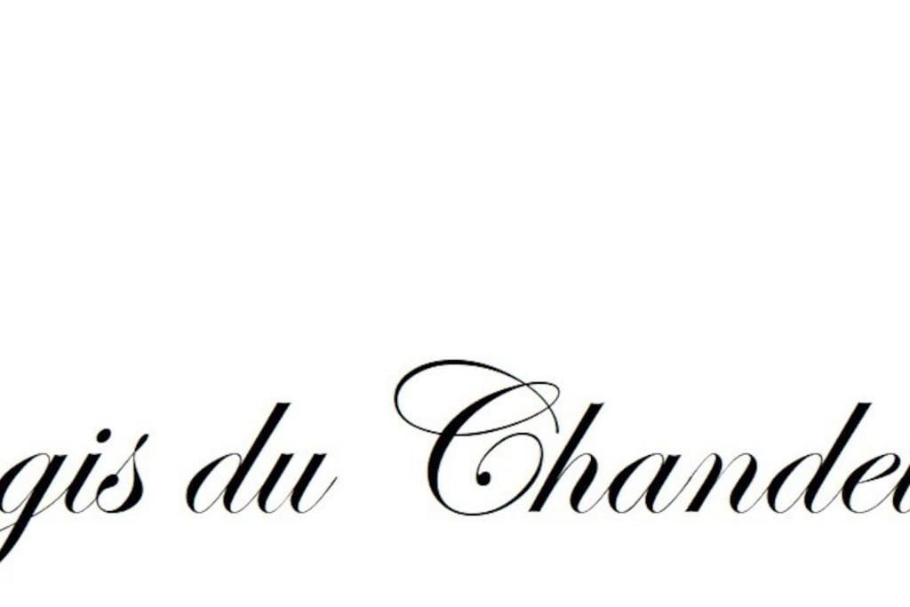 Logis Du Chandelier Le Puy-en-Velay ภายนอก รูปภาพ